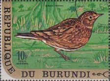 Eurasian Skylark (Alauda arvensis)