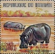 Hippopotamus (Hippopotamus amphibius)