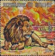 Lion (Panthera leo)
