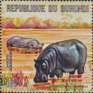 Hippopotamus (Hippopotamus amphibius)