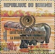 Hippopotamus (Hippopotamus amphibius)