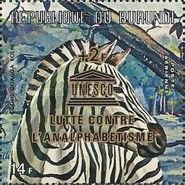 Plains Zebra (Equus quagga)