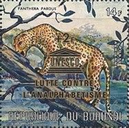 Leopard (Panthera pardus)