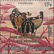 White-backed Vulture (Gyps africanus)