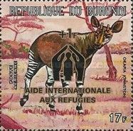 Okapi (Okapia johnstoni)