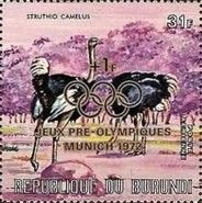 Common Ostrich (Struthio camelus)