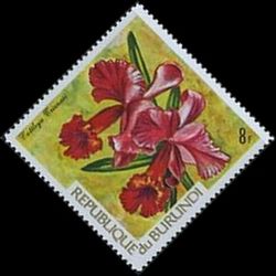 Cattleya trianae