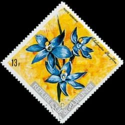 Thelymitra pauciflora