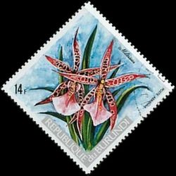 Miltassia