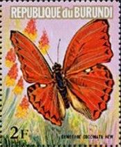 Common Red Glider (Cymothoe coccinata)