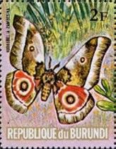 Nudaurelia zambesina