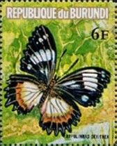 Madagascar Diadem (Hypolimnas dexithea)