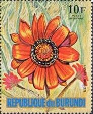 Gazania longiscapa