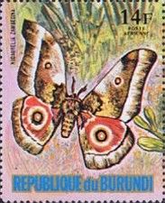 Nudaurelia zambesina
