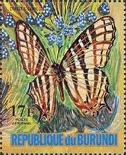 African map Butterfly (Cyrestis camillus)