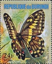 Citrus Swallowtail (Papilio demodocus)