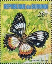 Madagascar Diadem (Hypolimnas dexithea)