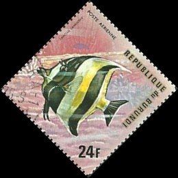 Moorish Idol (Zanclus canescens)