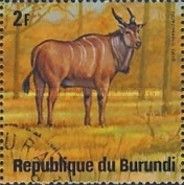 Common Eland (Taurotragus oryx)