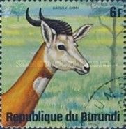 Dama Gazelle (Gazella dama)