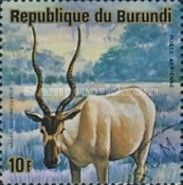 Addax (Addax nasomaculatus)