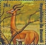 Gerenuk (Litocranius walleri)