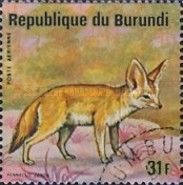 Fennek (Fennecus zerda)
