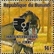 Mandrill (Mandrillus sphinx)