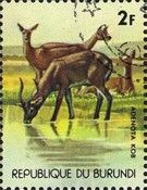 Buffon’s Kob(Kobus kob).