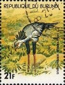 Secretarybird (Sagittarius serpentarius)