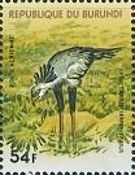 Secretarybird (Sagittarius serpentarius)