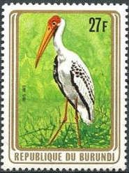 Yellow-billed Stork (Ibis ibis)