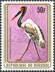 Saddle-billed Stork (Ephippiorhynchus senegalensis)
