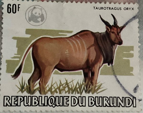 Common Eland (Taurotragus oryx); ovpt WWF-logo