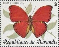 Common Red Glider (Cymothoe coccinata)