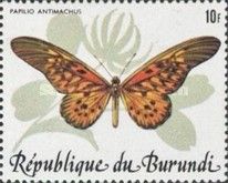 African Giant Swallowtail (Papilio antimachus)