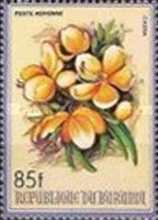 Cassia