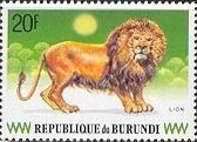 Lion (Panthera leo)