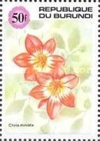 Clivia miniata