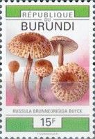 Russula brunneorigida