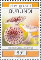 Russula meleagris