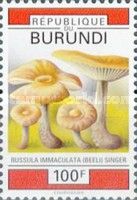 Russula immaculata