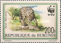 Serval (Leptailurus serval)