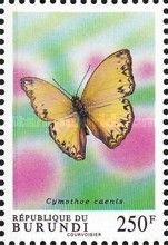 Common Glider (Cymothoe caenis)