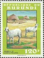Sheep