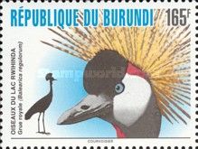 Grey Crowned Crane (Balearica regulorum)