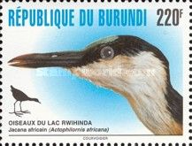 African Jacana (Actophilornis africanus)