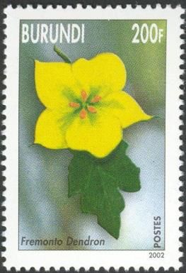 Fremonto Dendron