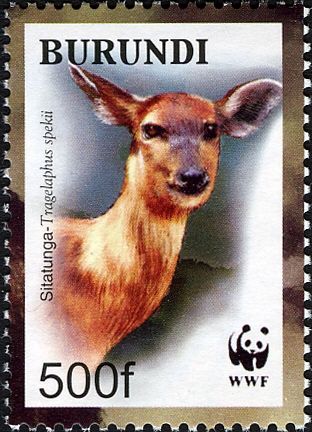 Sitatunga (Tragelaphus spekii)