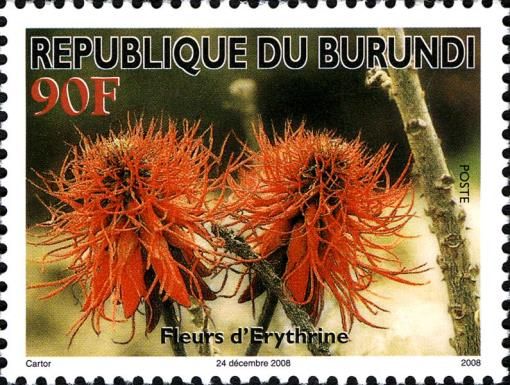 Erythrine